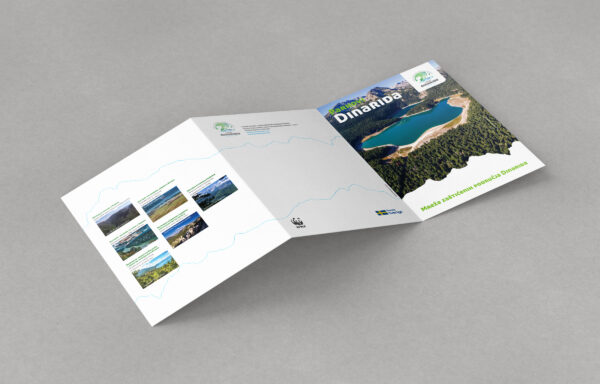 Mockups Design