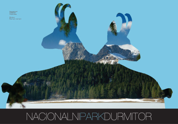Posteri B1 NPCG.indd