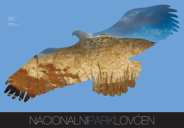 Posteri B1 NPCG – landscape.indd